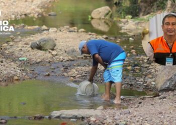 Debido a la sequia más de 60 municipios del Corredor Seco serán intervenidos anuncia COPECO