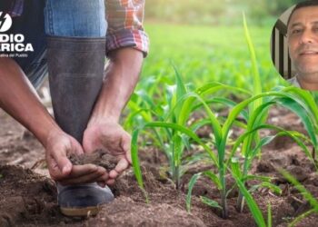 Costo de preparación de tierras para siembra aumentó 68%, advierte la FENAGH