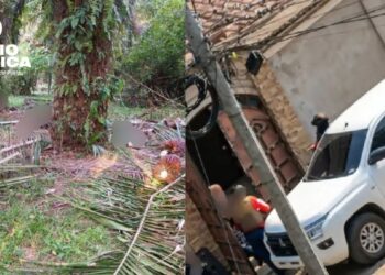Jueves trágico: al menos 20 muertos dejan dos masacres en Honduras