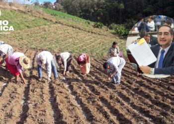 Marco Midence anuncia proyecto de ley para incentivar sector agroalimentario en 2027