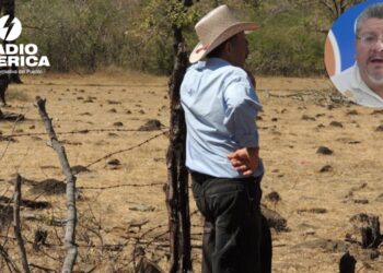 COPECO emite alerta verde en 60 municipios del corredor seco