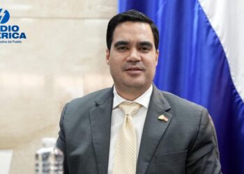Diputado Castro anuncia que hoy se entregará la lista de los 24 autopostulantes