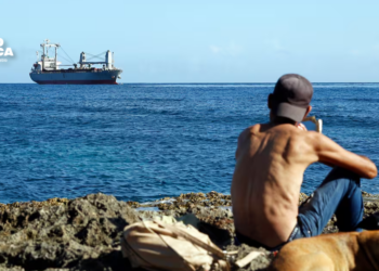 La mayor ONG de Cuba alerta: «Estamos en un escenario de crisis verdadera, humanitaria»
