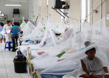 Informan reducción del 50% en casos de dengue en comparación del año anterior