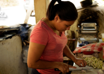 Sequía y crisis climática amenazan la seguridad alimentaria de 2,2 millones de hondureños