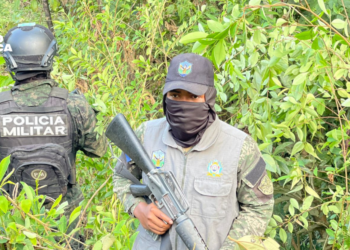 FFAA aseguran dos plantaciones con 16,500 arbustos de hoja de coca en Atlántida.