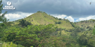 Recuerdan a ambientalista hondureño asesinado que reclamaba: «Los bosques son del pueblo»