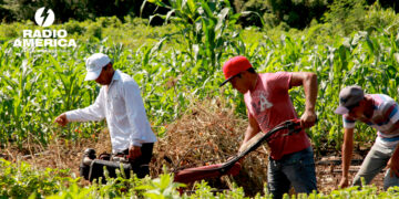 IICA aboga por fortalecer sistemas agroalimentarios de América para la estabilidad global