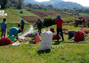 Gobierno y Banco Mundial impulsan programa que fortalecerá la agricultura familiar