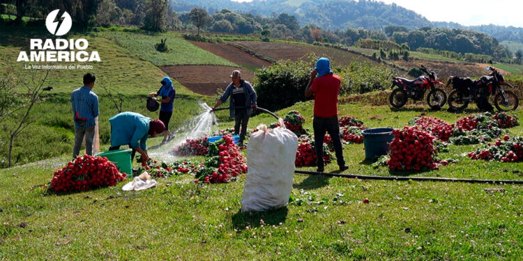 Gobierno y Banco Mundial impulsan programa que fortalecerá la agricultura familiar