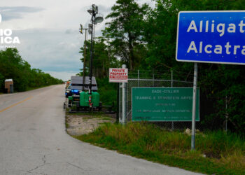 ICE traslada a inmigrantes de 'Alligator Alcatraz' ante el riesgo de huracanes en EE.UU.