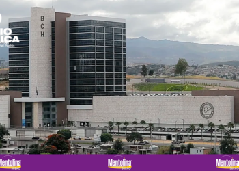 BCH: En los primeros tres meses de 2026, la inversión extranjera directa continúa consolidándose apoyando la actividad económica