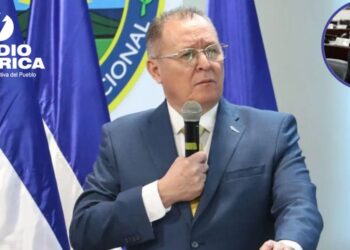 Ministro de Seguridad ha demostrado "ineficacia" señala diputada Luz Ernestina