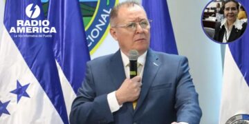 Ministro de Seguridad ha demostrado "ineficacia" señala diputada Luz Ernestina