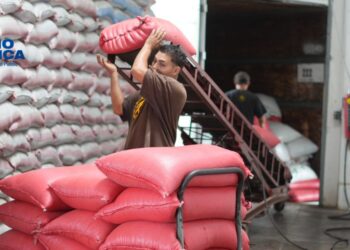 El IHMA inicia con nuevo abastecimiento de frijol