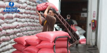 El IHMA inicia con nuevo abastecimiento de frijol