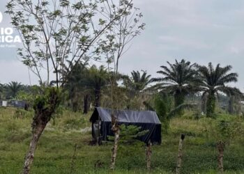 Ley agroindustrial en Honduras aviva temores por conflictos agrarios y control de tierras