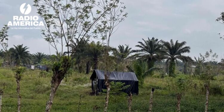 Ley agroindustrial en Honduras aviva temores por conflictos agrarios y control de tierras