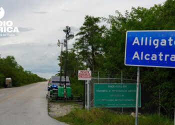 Florida avisa que detendrÃa a más migrantes en 'Alligator Alcatraz' pese a traslado de ICE