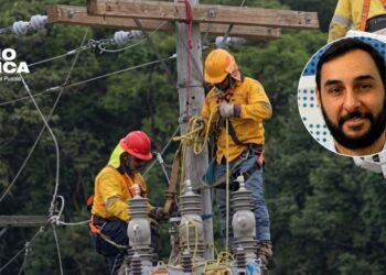 Reestructuración de la ENEE busca ordenar el sector energético, afirma Panting