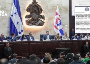 CN aprueba por unanimidad amnistía de un año para el registro de armas