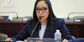 Diputados sesionarán hoy y mañana con una agenda variada, según Lissi Matute Cano