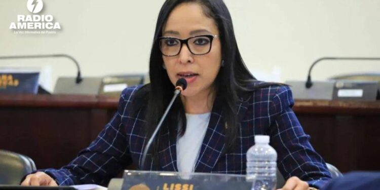 Diputados sesionarán hoy y mañana con una agenda variada, según Lissi Matute Cano