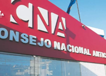 CNA pide que reforma energética vaya más allá del debate sobre privatización
