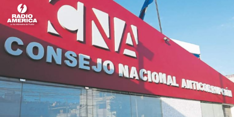 CNA pide que reforma energética vaya más allá del debate sobre privatización