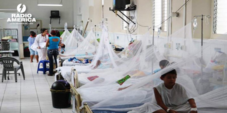 SESAL reporta la primera muerte por dengue en lo que va del 2026