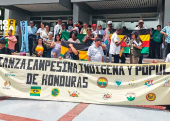 EFE: Alianza campesina e indígena de Honduras denuncia "despojo territorial" y exige cambios