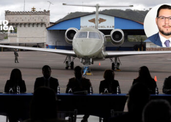 Dirigente de Libre dice que el gobierno vendió el avión presidencial a "precio de gallo muerto"