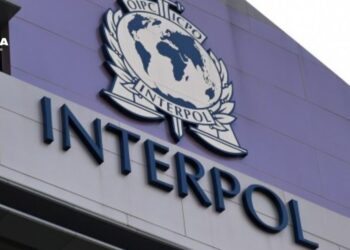 Interpol anuncia más de 5.800 detenidos en operación internacional contra el fraude