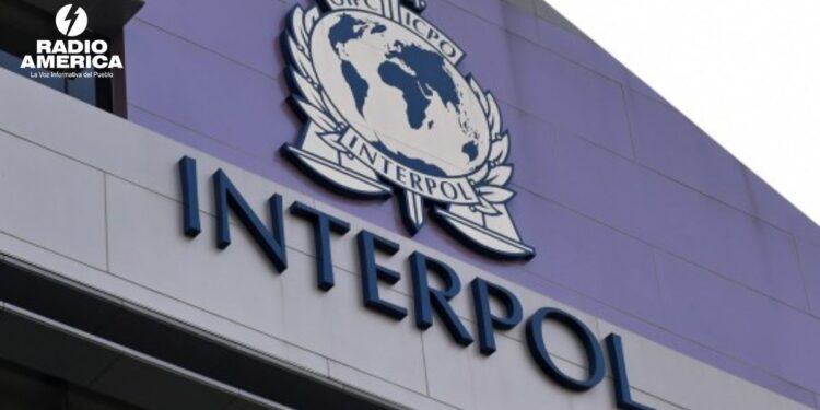Interpol anuncia más de 5.800 detenidos en operación internacional contra el fraude