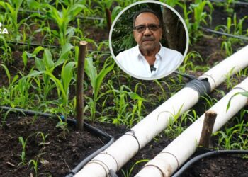 L140 millones invertirá la SAG en la rehabilitación de distritos de riego para fortalecer el agro