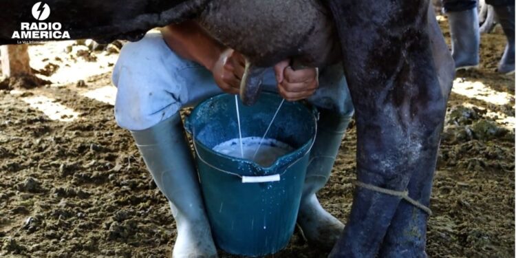 Gobierno, productores e industria revisan los desafíos del sector lácteo
