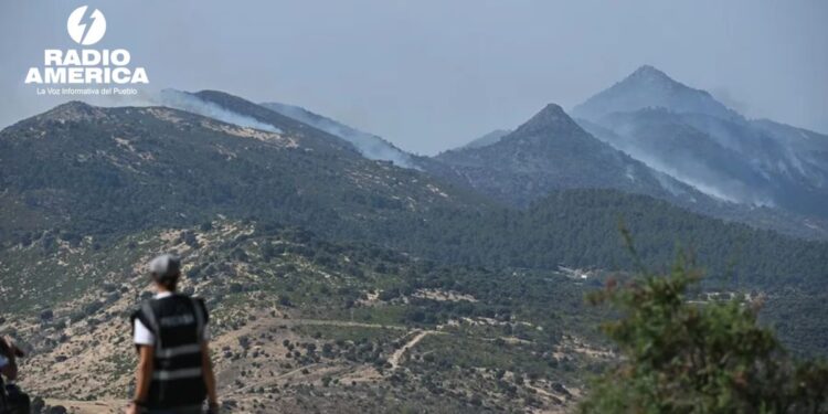 Más de 115.000 evacuados en España por los incendios forestales