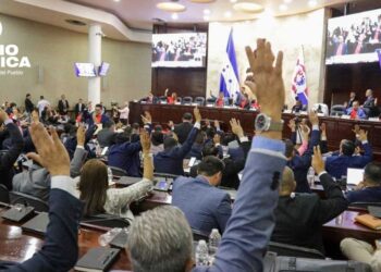 Congreso aprueba investigar a "organizaciones criminales" que promocionan abortos clandestinos