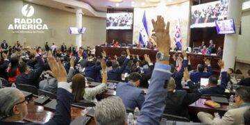 Congreso aprueba investigar a "organizaciones criminales" que promocionan abortos clandestinos