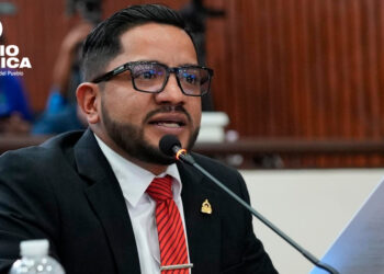 Diputado dice que Libre respalda la "modernización" de la ENEE, pero rechaza su división en sociedades anónimas