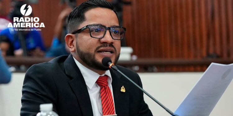 Diputado dice que Libre respalda la "modernización" de la ENEE, pero rechaza su división en sociedades anónimas
