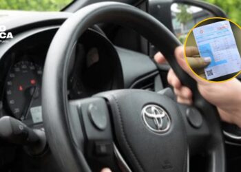 IP anuncia fechas para el pago de la matrícula vehicular 2026
