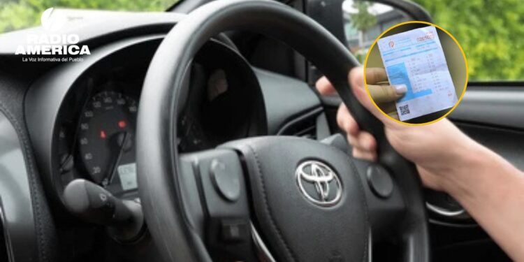 IP anuncia fechas para el pago de la matrícula vehicular 2026
