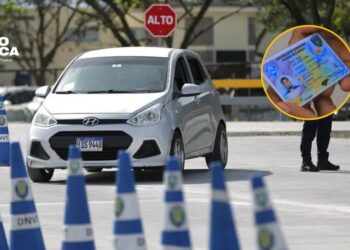 ¿Necesita renovar su licencia de conducir?: Conozca los precios actualizados por la DNVT