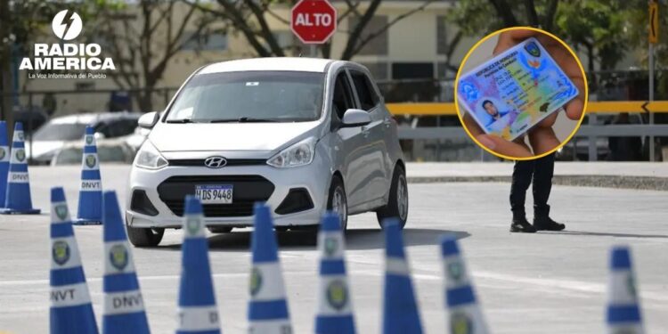 ¿Necesita renovar su licencia de conducir?: Conozca los precios actualizados por la DNVT