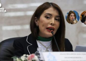 Iroshka Elvir sostiene que reformas hechas en el CN fueron para dar permiso especial a consejeras del CNE