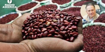 IHMA mantiene reservas de frijol por encima de la meta, asegura viceministro