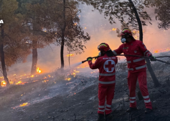 Cruz Roja pide mayor preparación para afrontar las crecientes olas de calor e incendios