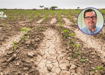 SAG recomienda a agricultores no sembrar en municipios afectados por la sequía