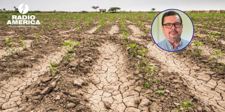 SAG recomienda a agricultores no sembrar en municipios afectados por la sequía